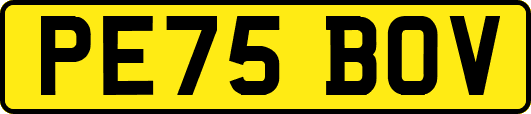 PE75BOV