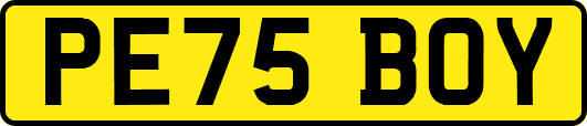 PE75BOY