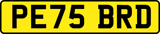 PE75BRD