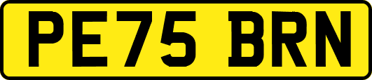 PE75BRN