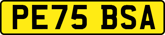 PE75BSA