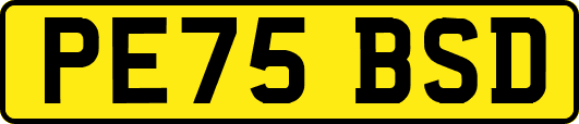 PE75BSD
