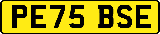 PE75BSE