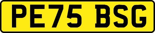 PE75BSG