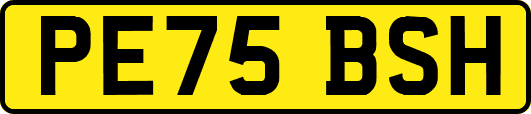 PE75BSH