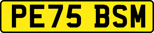 PE75BSM