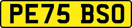 PE75BSO