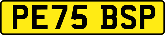 PE75BSP