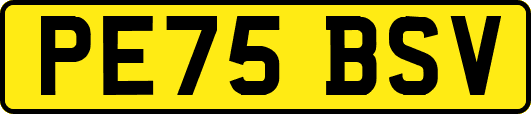 PE75BSV