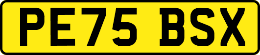 PE75BSX