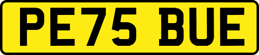 PE75BUE