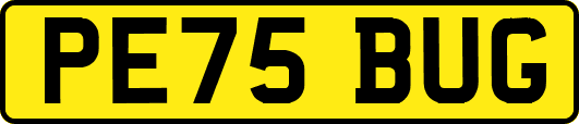 PE75BUG
