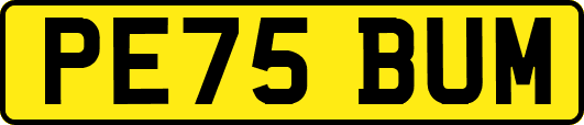 PE75BUM