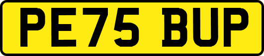 PE75BUP