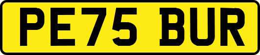 PE75BUR