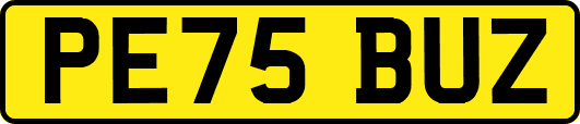 PE75BUZ