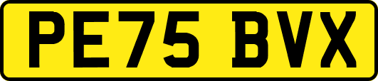 PE75BVX