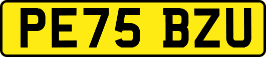PE75BZU