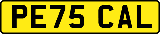PE75CAL