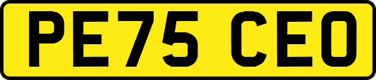 PE75CEO