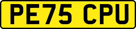 PE75CPU