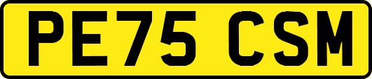 PE75CSM