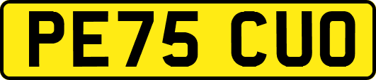 PE75CUO