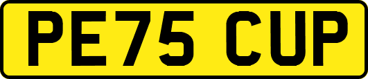PE75CUP