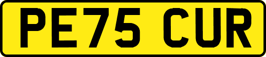 PE75CUR