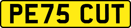 PE75CUT