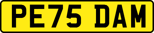 PE75DAM