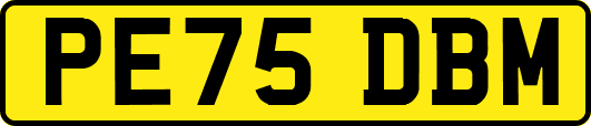 PE75DBM