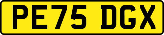 PE75DGX