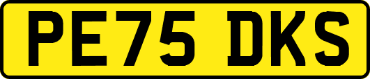 PE75DKS