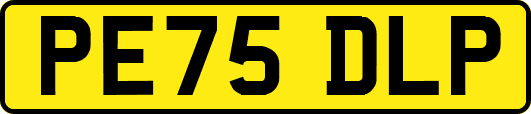 PE75DLP