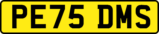 PE75DMS