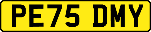 PE75DMY