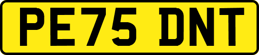 PE75DNT
