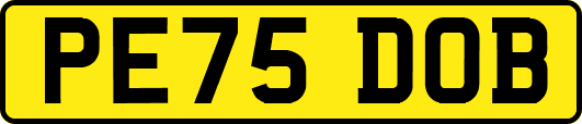PE75DOB