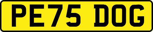 PE75DOG