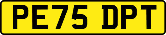 PE75DPT