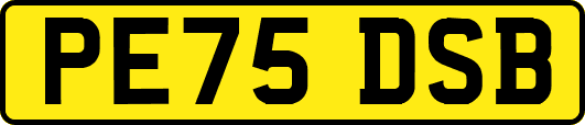 PE75DSB