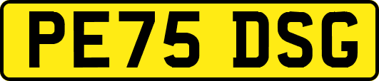 PE75DSG