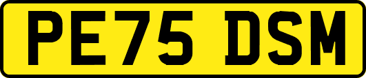 PE75DSM