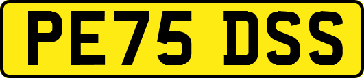 PE75DSS