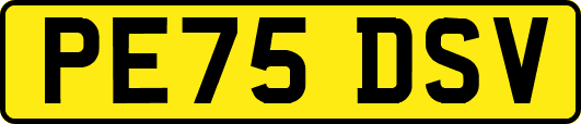 PE75DSV