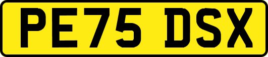 PE75DSX