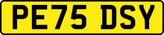 PE75DSY