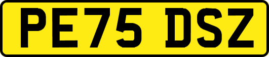 PE75DSZ