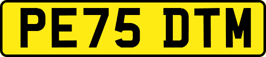PE75DTM
